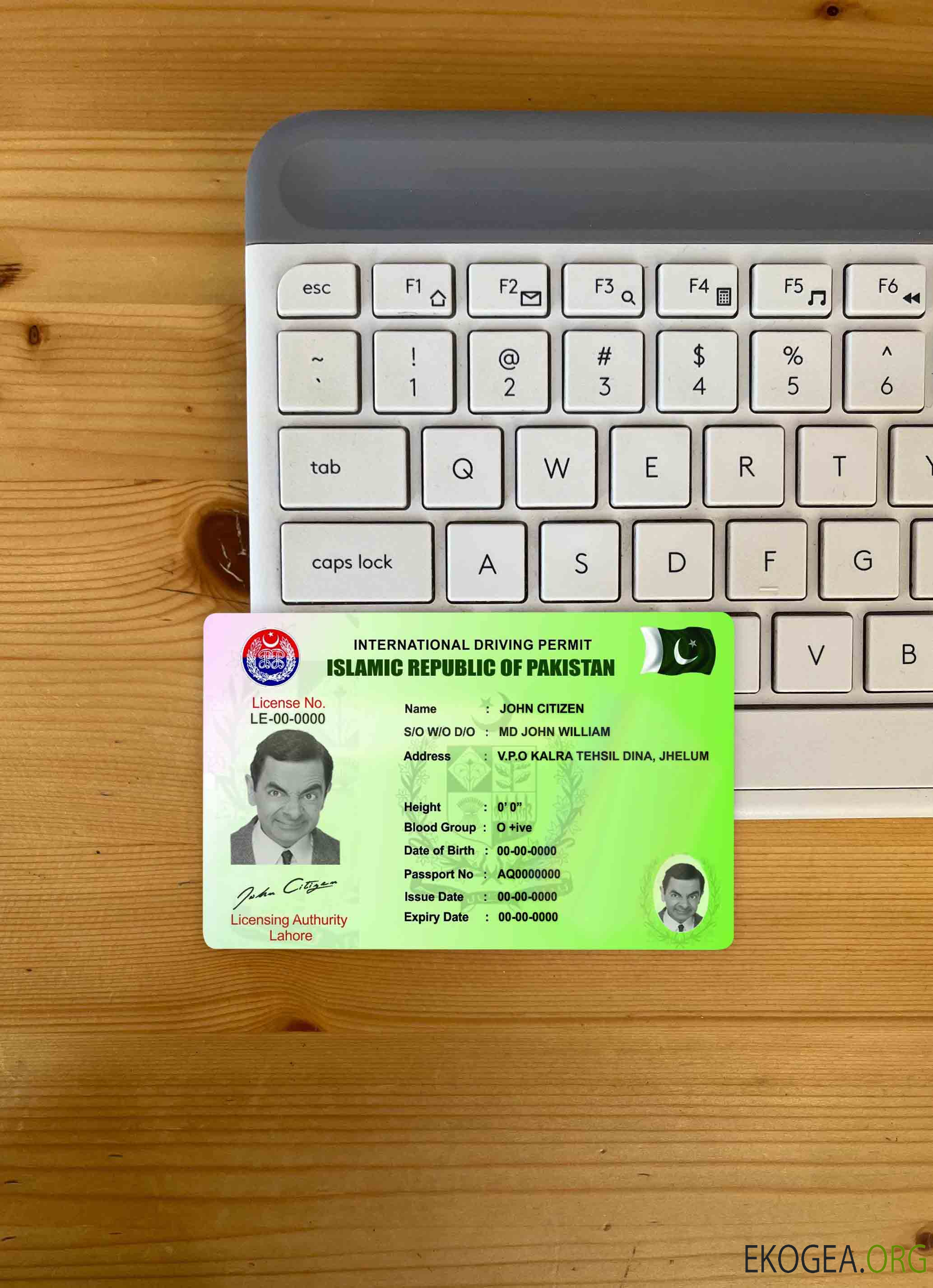 Photolook du permis de conduire international du Pakistan AVANT